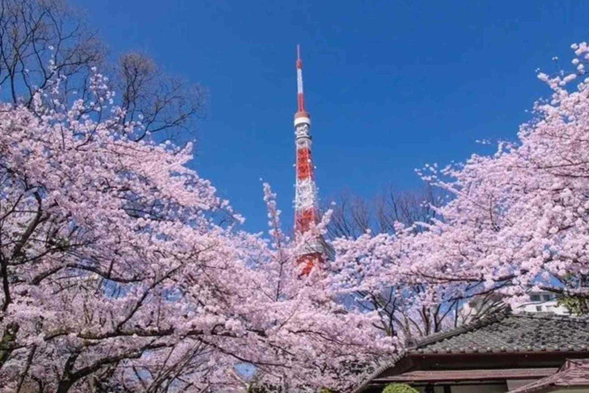 Five Room 120 Sky Tree Sensoji Freeparking 1292Sqft Tokyo Eksteriør bilde